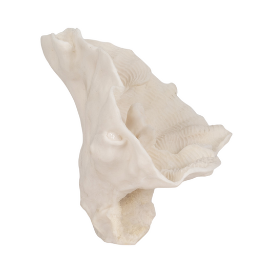 Centre de table en éventail de corail