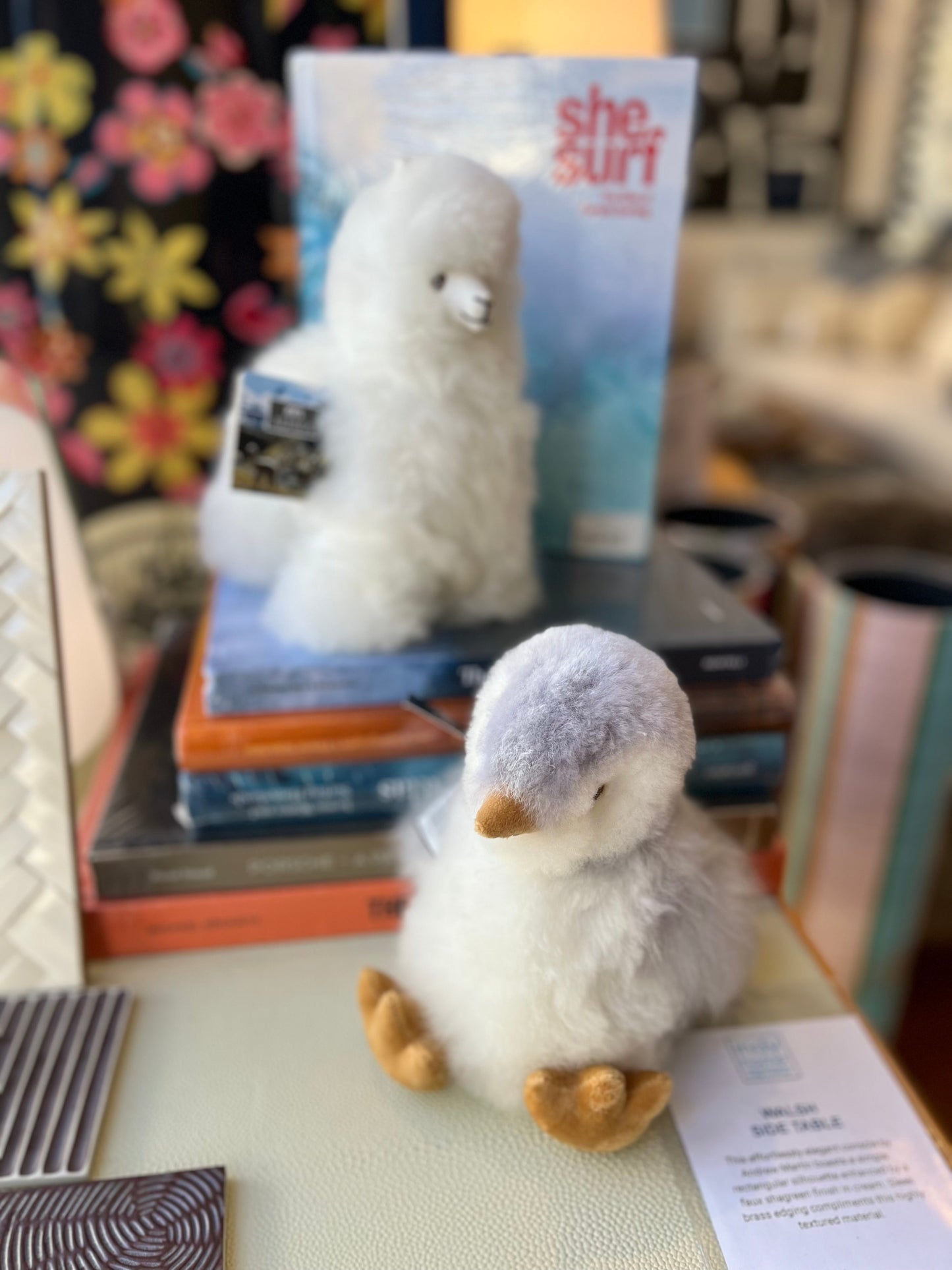 Alpaga de collection 