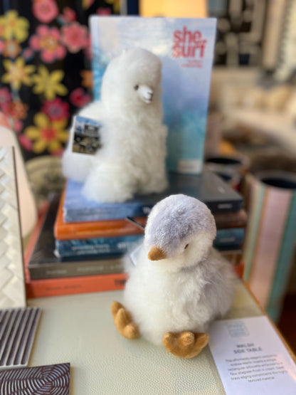 Alpaga de collection 